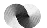 Syntex